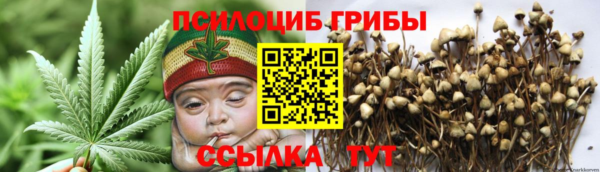 Сертолово  Псилоцибиновые грибы ЛСД  Вход с VPN 