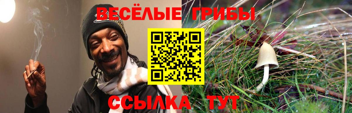 Псилоцибиновые грибы ЛСД Сертолово